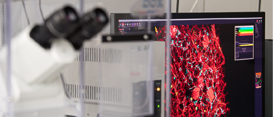 Core Facility Cell Analysis